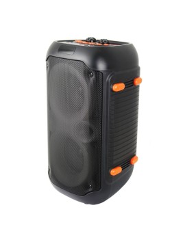 ESPERANZA GŁOŚNIK BT FM LED RGB KARAOKE SINGER EP156