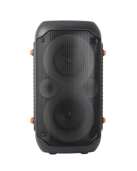 ESPERANZA GŁOŚNIK BT FM LED RGB KARAOKE SINGER EP156
