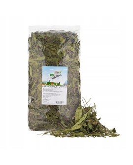 FACTORYHERBS HERO BUNNY Liść babki lancetowatej (NOWOŚĆ) 750g