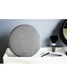 Głośnik Blaupunkt BT11ALU (bluetooth, przenośny, szary)