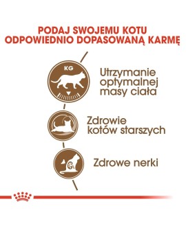ROYAL CANIN Senior Ageing 12+ Sterilised 0,4kg