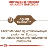 ROYAL CANIN Senior Ageing 12+ Sterilised 0,4kg
