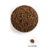 ACANA Wild Prairie Cat - sucha karma dla kota - 4,5 kg