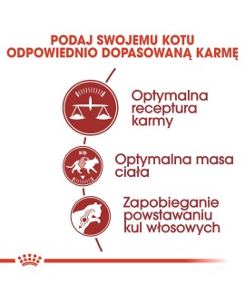 ROYAL CANIN FHN Regular Fit 32 - sucha karma dla kota dorosłego - 2 kg