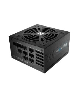 FSP Hydro G PRO ATX3.0(PCIe5.0) 1000W moduł zasilaczy 20+4 pin ATX ATX Czarny