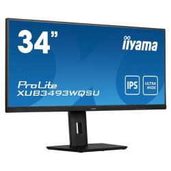 iiyama ProLite...