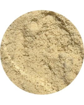 BIOFEED Horse&Pony Electrolytes - rozpuszczalne w wodzie elektrolity 900g