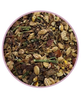 BIOFEED Horse&Pony CANDY MUSLI FULL OF FRUIT owocowe musli dla koni wybrednych bez owsa 20kg
