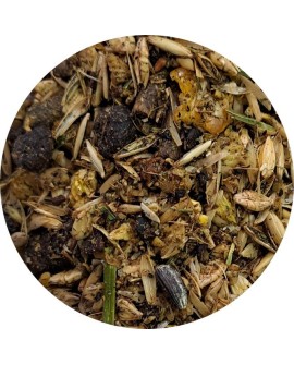 BioFeed Horse&Pony Muscles Musli - musli dla wsparcia mięśni 20kg