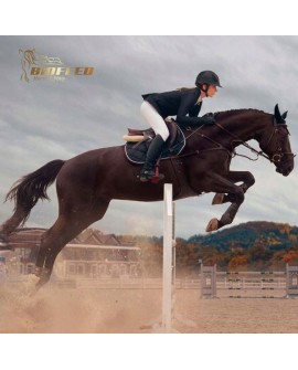 BioFeed Horse&Pony Muscles Musli - musli dla wsparcia mięśni 20kg