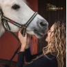 BioFeed Horse&Pony Muscles Musli - musli dla wsparcia mięśni 20kg