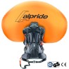 Deuter ALPROOF 30 SL plecak Czarny, Zielony Denim, Poliamidowy, Poliester