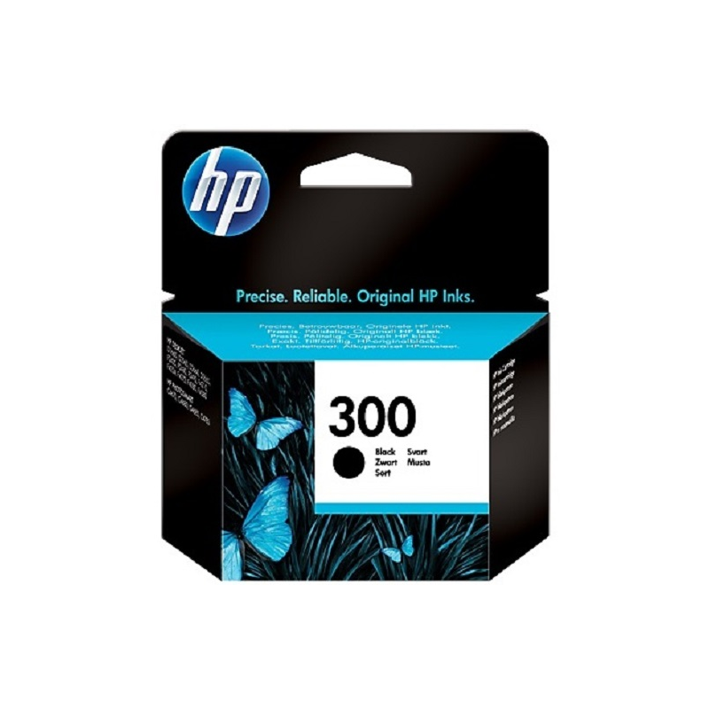 Wkład HP 300 Czarny CC640EE