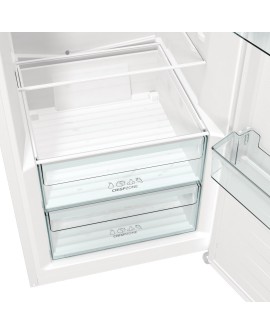 Chłodziarka GORENJE R619EEW5