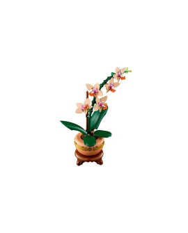 LEGO ICONS 10343 Botanicals - Mała orchidea