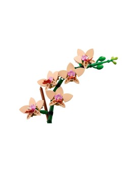 LEGO ICONS 10343 Botanicals - Mała orchidea