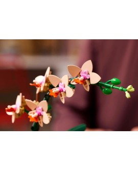 LEGO ICONS 10343 Botanicals - Mała orchidea