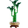 LEGO ICONS 10344 Botanicals - Dracena sandera