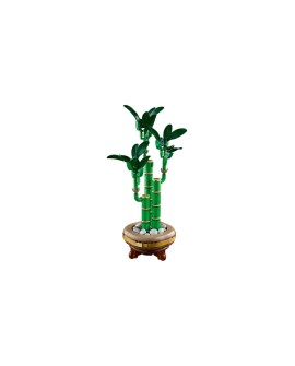 LEGO ICONS 10344 Botanicals - Dracena sandera