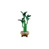LEGO ICONS 10344 Botanicals - Dracena sandera