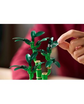 LEGO ICONS 10344 Botanicals - Dracena sandera