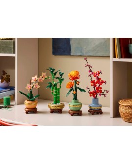 LEGO ICONS 10344 Botanicals - Dracena sandera