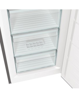 Zamrażarka GORENJE FN619EES5