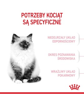 ROYAL CANIN Kitten 36 - sucha karma dla kota - 2 kg