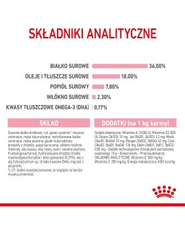 ROYAL CANIN Kitten 36 - sucha karma dla kota - 2 kg
