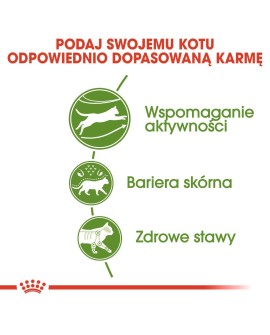 ROYAL CANIN Outdoor 30 0,4kg