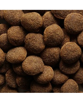 BIOFEED NASZ PIES Z WOŁOWINĄ 15 KG