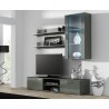 Zestaw SOHO 5 (RTV180 + Wit.Wisz + Półki) SZ/SZ POŁ