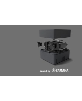 Epson EF-12