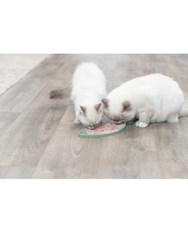 Taca na przysmaki Lick'n'Snack, dla kota, w kształcie ryby, petrol, silikon, 28 cm,