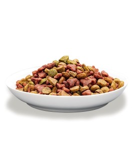 PREVITAL - Z kurczakiem - Pełnoporcjowa karma dla dorosłych kotów - karma sucha - 1,4kg
