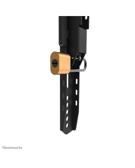 TV SET ACC WALL MOUNT/WL30-750BL16 NEOMOUNTS