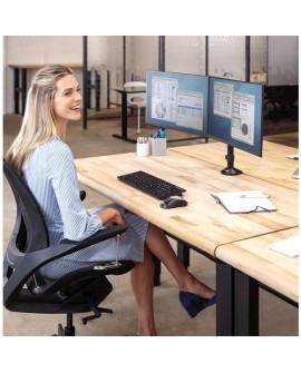 Fellowes Ergonomia ramię na 2 monitory Reflex
