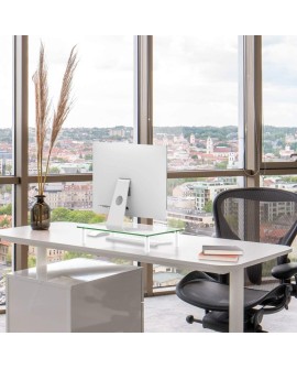 Techly ICA-MS 461 uchwyt / stojak do monitorów 81,3 cm (32") Biurko Przezroczysty