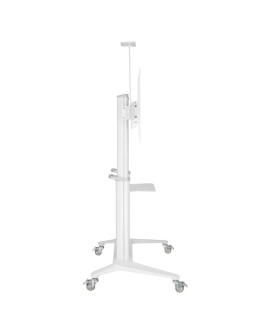 Techly ICA-TR49W stojak do multimediów Biały Płaski panel Karta multimedialna