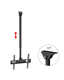 Uchwyt ścienny do telewizora Maclean MC-631 (sufitowy, Uchylny 32" - 55" max. 50kg)