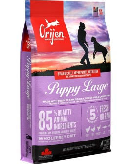 ORIJEN Puppy Large - sucha karma dla szczeniąt dużych ras - 6kg (WYPRZEDAŻ)