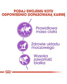 ROYAL CANIN FHN Regular Sterilised 37 - sucha karma dla kota dorosłego - 10 kg