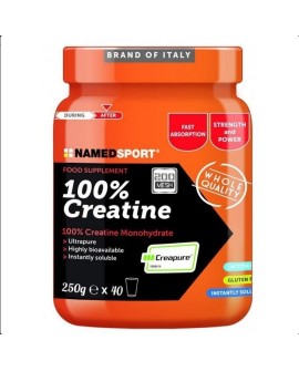 NAMEDSPORT kreatyna 100% proszek 250g