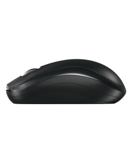 CHERRY JW-T2200-2 myszka Dom Oburęczny RF Wireless Optyczny 1300 DPI