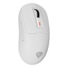 GENESIS NMG-2194 myszka Gaming Oburęczny Bluetooth + USB Type-C Optyczny 26000 DPI