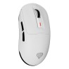 GENESIS Zircon 660 myszka Gaming Po prawej stronie RF Wireless + Bluetooth + USB Type-A Optyczny 12000 DPI