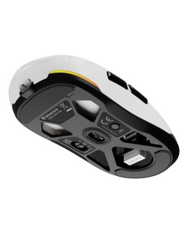 GENESIS Zircon 660 myszka Gaming Po prawej stronie RF Wireless + Bluetooth + USB Type-A Optyczny 12000 DPI