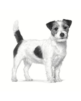 ROYAL CANIN VHN Dog Anallergenic Small 3kg (WYPRZEDAŻ)