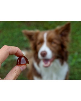 GELOREN Small Dog Suplement dla psa - 180g