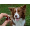 GELOREN Small Dog Suplement dla psa - 180g